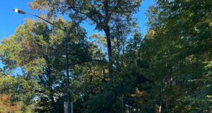 Περίπατος του Πατριάρχη στο Σέντραλ Παρκ