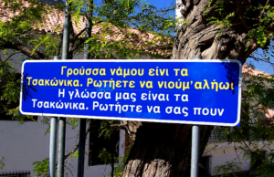 “Τσακώνικα”: Η αρχαία – δωρική διάλεκτος διδάσκεται στην …Αγία Πετρούπολη