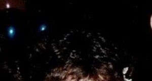 Remembering the late Maureen Papalas