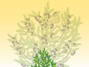 Emphasizing resilience and renewal, the Metropolis of Chicago releases 2021 “Annual Impact Report”