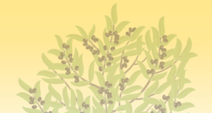 Emphasizing resilience and renewal, the Metropolis of Chicago releases 2021 “Annual Impact Report”