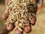 Ουκρανία και Ρωσία υπέγραψαν με την Τουρκία και τον ΟΗΕ τη συμφωνία για την εξαγωγή των ουκρανικών σιτηρών