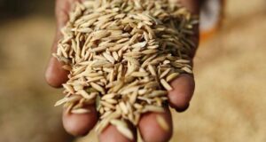 Ουκρανία και Ρωσία υπέγραψαν με την Τουρκία και τον ΟΗΕ τη συμφωνία για την εξαγωγή των ουκρανικών σιτηρών