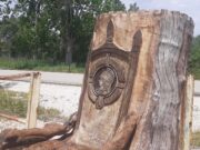 Σε έργα τέχνης μετατρέπει τα νεκρά πλατάνια, ένας ερασιτέχνης