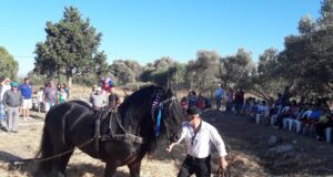 Ώρα για «αλώνισμα» στη Μονή του δήμου Μαλεβιζίου στο Ηράκλειο Κρήτης