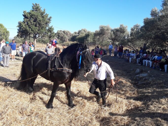 Ώρα για «αλώνισμα» στη Μονή του δήμου Μαλεβιζίου στο Ηράκλειο Κρήτης