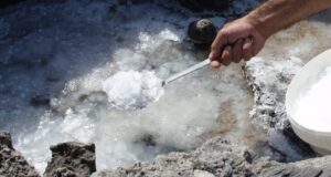 O «χρυσός»… της θάλασσας των Κυθήρων