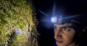 Ο Έλληνας ερευνητής που συνέβαλε στον εντοπισμό της έχιδνας του Ατένμπορο