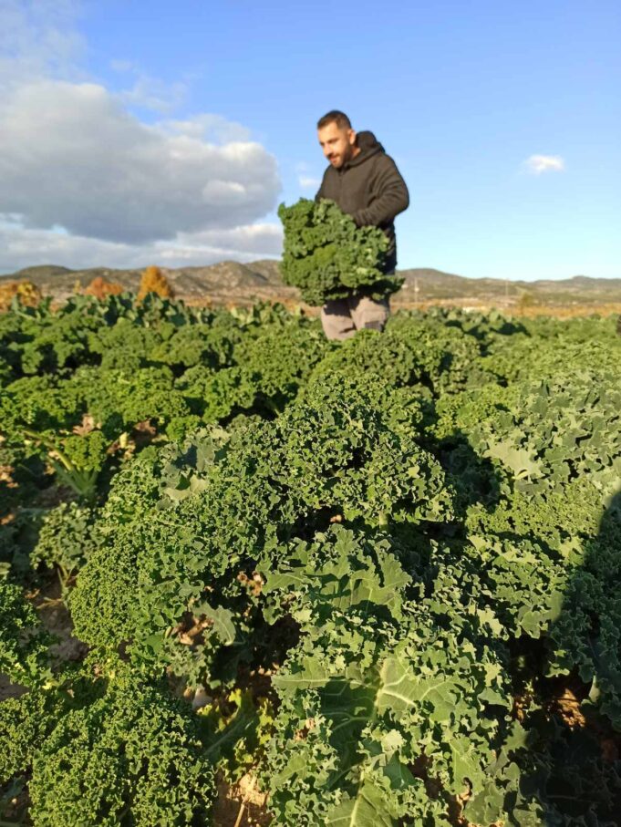 Ο μαθηματικός που δημιουργεί εξατομικευμένα λαχανικά για εστιατόρια δημιουργικής κουζίνας