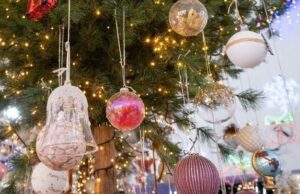 Το έθιμο της γουρνοχαράς στα χωριά του κάμπου της Καρδίτσας