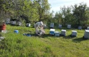 Το ανθόμελο «Μέλι Κισσούρι» από την Κάρυστο στο επίσημο Μητρώο της ΕΕ για τις ΠΟΠ