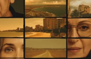 PSEKA: Netflix Betrays Democratic Principles for the sake of the Turkish Market