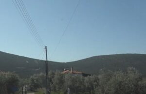 Στην Αργολίδα οι «ελαιοπαραγωγοί του τενεκέ» προετοιμάζονται για τη φετινή σοδειά