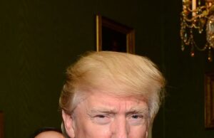 Τραμπ: «Ισχυρότερες από ποτέ» οι σχέσεις ΗΠΑ-Ελλάδας – Επέδωσε τα διαπιστευτήριά του ο Πρέσβης Αντώνης Αλεξανδρίδης