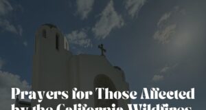 Archbishop Elpidophoros to Visit fire -ravaged Southern California