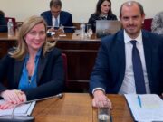 Deputy Foreign Minister Giorgos Kotsiras at the Parliament Committee on Greeks Abroad