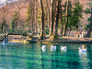 Νάουσα: Ένας προορισμός για όλο τον χρόνο