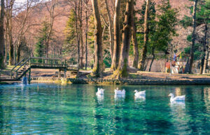 Νάουσα: Ένας προορισμός για όλο τον χρόνο