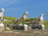 The island of Delos takes centre stage at event in London