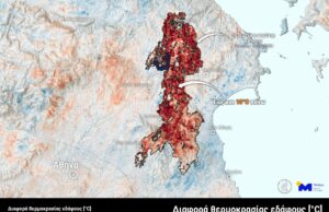 Αυξάνονται οι θερμοκρασίες εδάφους λόγω απώλειας δασικής βλάστησης