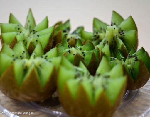 Μαζικές εκριζώσεις ροδακινιών, με τις ακτινιδιές να παίρνουν τη θέση τους