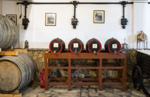 Η Σάμος πρώτη ανάμεσα στα ελληνικά νησιά για οινοτουρισμό