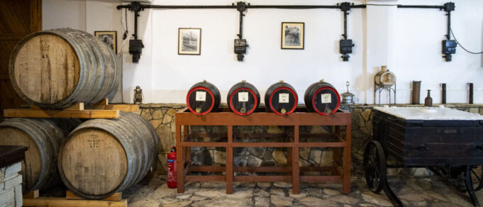 Η Σάμος πρώτη ανάμεσα στα ελληνικά νησιά για οινοτουρισμό