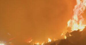 Νέες πυρκαγιές τη νύχτα σε Μέγαρα και Κεφαλονιά- Ολονύκτια μάχη με τις φλόγες σε Αχαΐα, Πρέβεζα, Ιωάννινα, Χίο και Ζάκυνθο