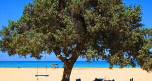 Γαύδος: Μία “Ξενάγηση” από τη δημοτική αρχή
