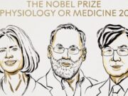 Στους Brunkow, Ramsdell και Sakaguchi το Νόμπελ Ιατρικής