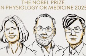 Στους Brunkow, Ramsdell και Sakaguchi το Νόμπελ Ιατρικής