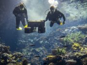 Οι επιστήμονες εκπέμπουν SOS για τα κοράλλια