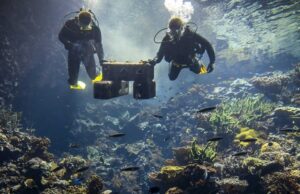 Οι επιστήμονες εκπέμπουν SOS για τα κοράλλια