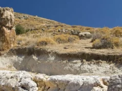 Aπολιθωμένο Δάσος της Λέσβου: Μοναδικό μνημείο της φύσης