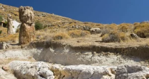 Aπολιθωμένο Δάσος της Λέσβου: Μοναδικό μνημείο της φύσης