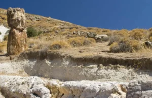 Aπολιθωμένο Δάσος της Λέσβου: Μοναδικό μνημείο της φύσης