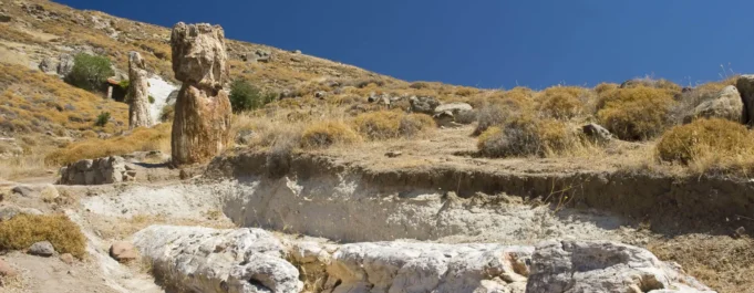 Aπολιθωμένο Δάσος της Λέσβου: Μοναδικό μνημείο της φύσης