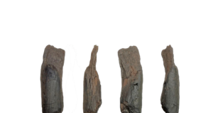 Scientists discover the oldest known wooden tools in Megalopolis, Arcadia