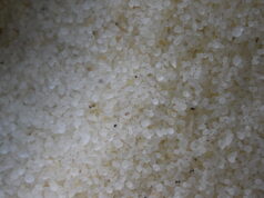 Πολύτιμα για τη Χίο τα «δάκρυα» του μαστιχόδεντρου