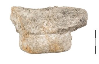 New Find Emerges from Underwater Excavation of Lord Elgin’s “Mentor” Wreck