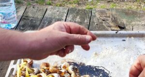 Το άναμμα των σαλιγκαριών στους Βαρυπατάδες στην Κέρκυρα