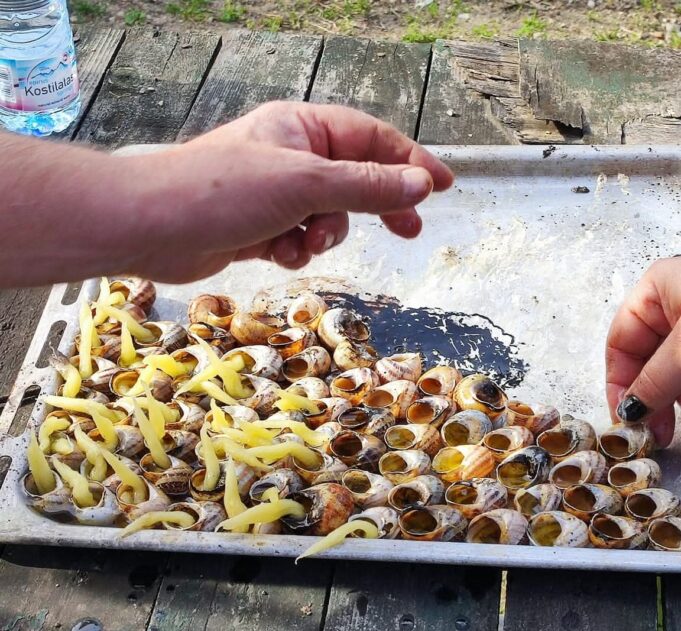 Το άναμμα των σαλιγκαριών στους Βαρυπατάδες στην Κέρκυρα