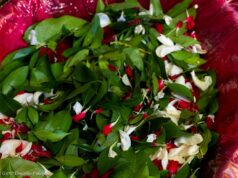 «Ανάστα ο Θεός»