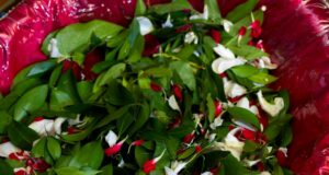 «Ανάστα ο Θεός»