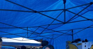 Greek-American Leader Theodoros Psahos’ Projekt NYC Empowers New York City Youth in Nationally Recognized Day of Service