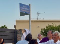 Π.Σ.Κ.: «Ένας δρόμος – η Οδός Αποδήμων Κρητών – και μια ελιά συνδέουν την Κρήτη με τα παιδιά της σε όλο τον κόσμο»