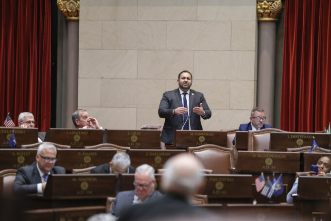 Tannousis: Albany Democrats Want to Choose Their Voters