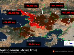 Σχεδόν μισό εκατομμύριο στρέμματα έχουν καεί στη δυτική Αττική από το 2018