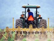 THI Expands Microfinance Support to the Peloponnese