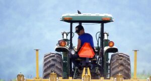 THI Expands Microfinance Support to the Peloponnese